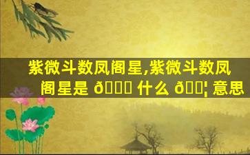 紫微斗数凤阁星,紫微斗数凤阁星是 🐈 什么 🐦 意思